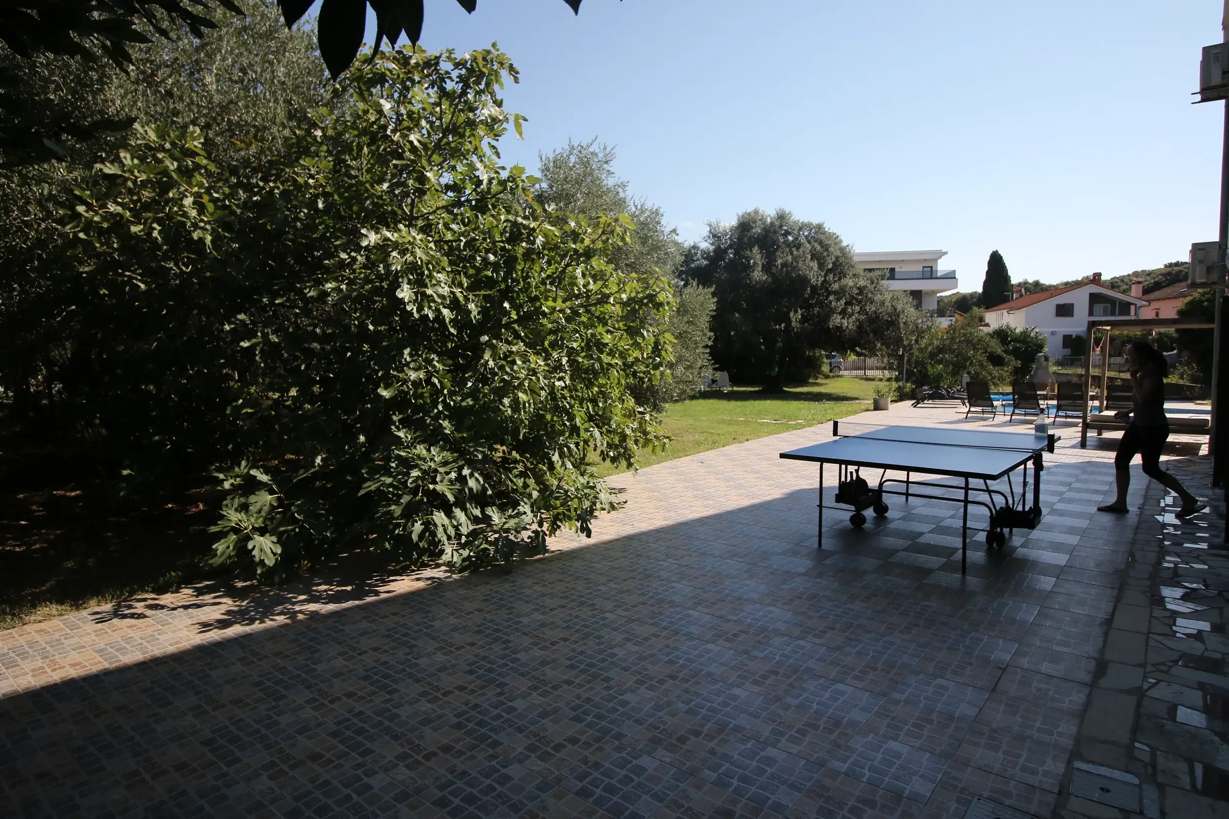 Table tennis on the shaded courtyard beside the garden
